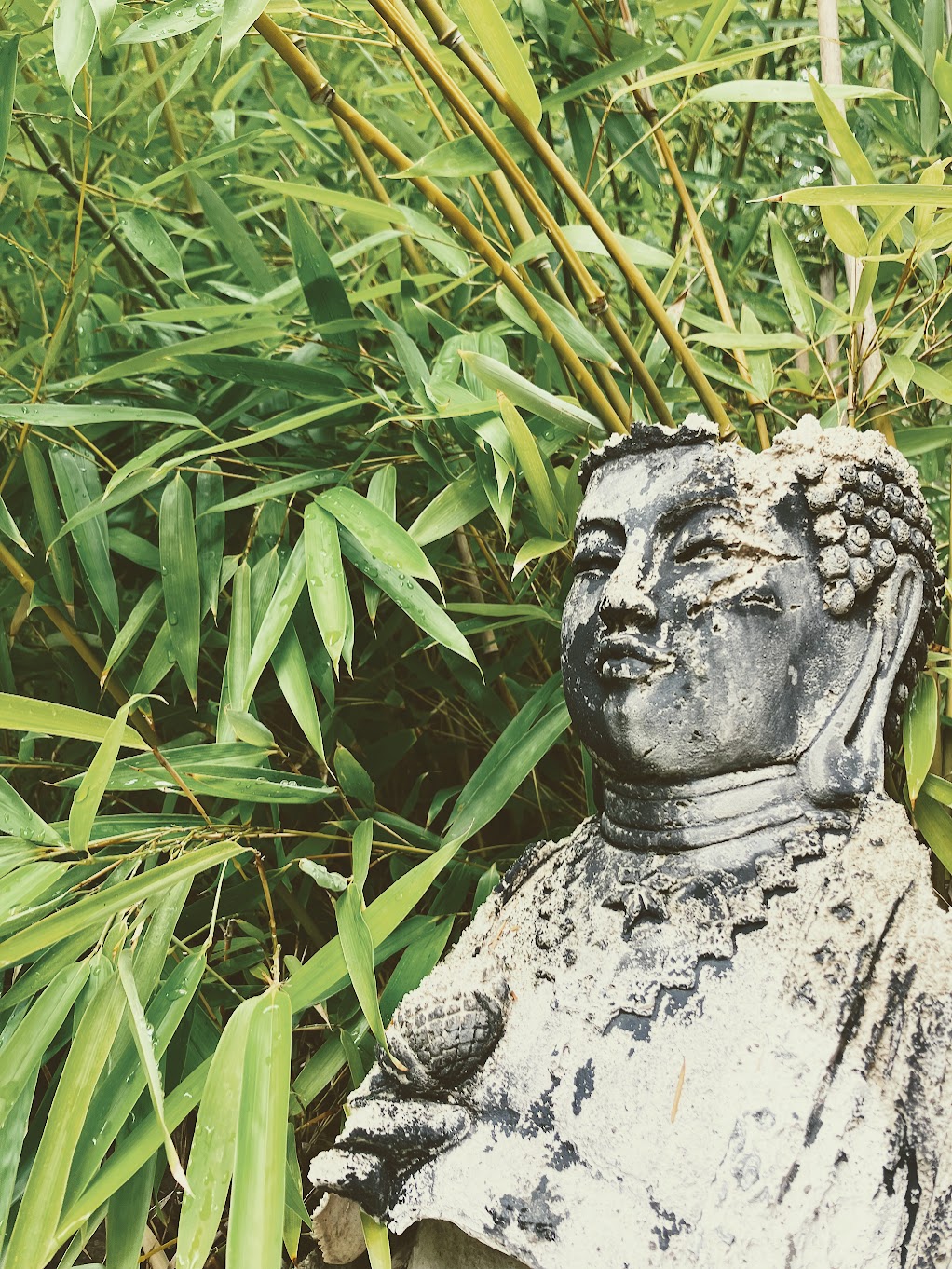 budda statue sitting in bamboo